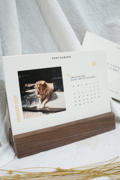 custom pet calendar | 寵物月曆 - Image 5